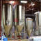 ölbryggningsutrustning rostfritt stål 1000L 2000L jäsningstankbryggeri Custom Designed unitanks