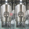 15BBL rostfritt stål kommersiellt hantverk ölutrustning Brite tank / sekundär tank sanitär till salu