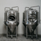 1000L SUS 304 Craft Brewery Vessel / Brewhouse System Anpassad ölfermentationstank till salu