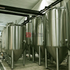 2000L anpassningsbar sidohakhål rostfritt stål konisk isobarisk tryck Fermentering Tank-Unitank