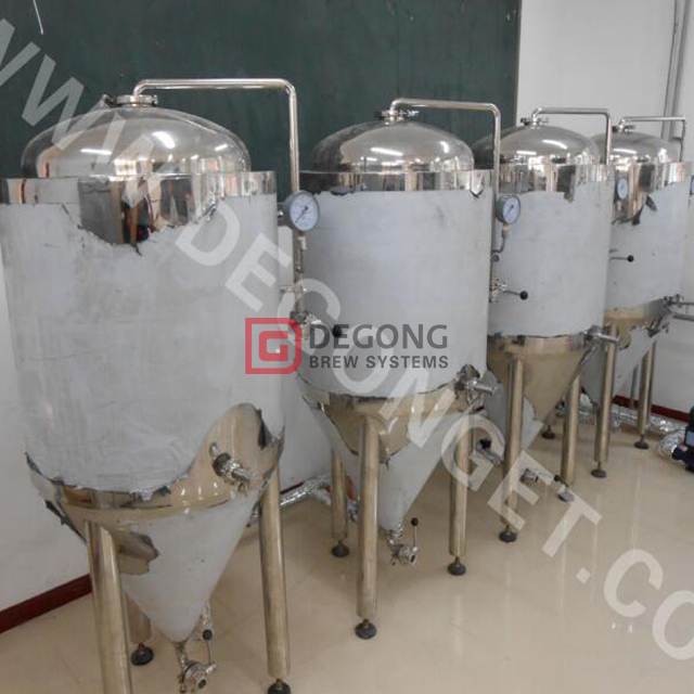 100L / 200L Mini Brewery Equipment for Brewing Craft Beer Brewery Rostfritt stål öltillverkningsmaskin