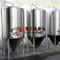 10BBL / 15BBL / 20BBL kommersiell jacka fermentering tank fermentering