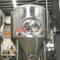 200L nyckelfärdig rostfritt stål ölfermenteringstankfermenter med PED-certifikat för ölpubbryggeri